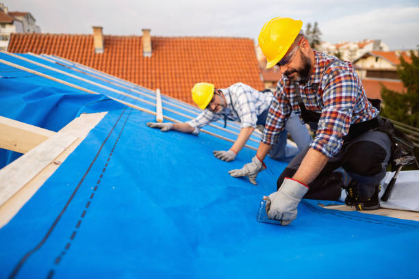 Best Roof Moss and Algae Removal  in Hartville, OH